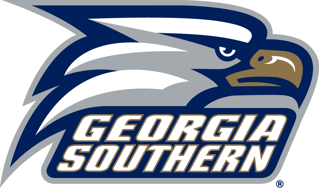 Georgia Southern Eagles 2010-Pres Primary Logo diy iron on heat transfer
